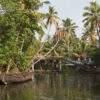 Kerala Backwaters Tour
